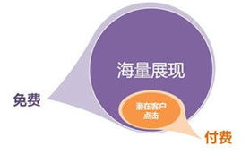 国技互联信息服务优势及温州、宁波、丽水推广总代理